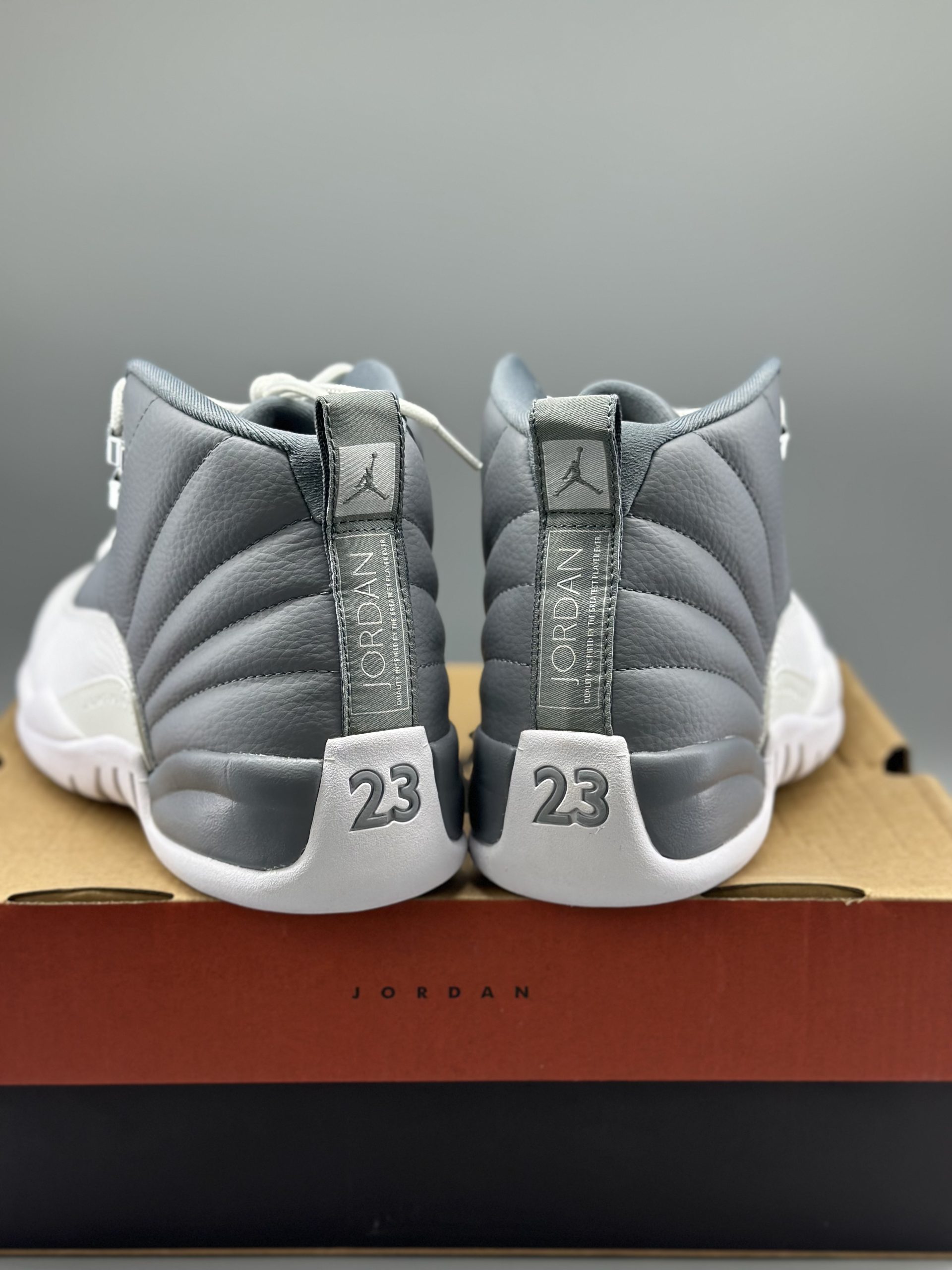 Jordan 12 Grey